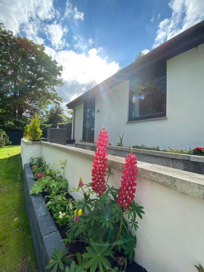 Aurora Suite B&B Coupar Angus Extérieur photo
